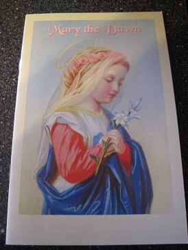 Image for Mary the Dawn
