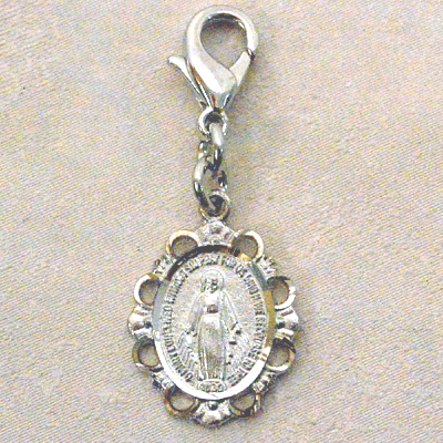 Image for Clipable Charm
