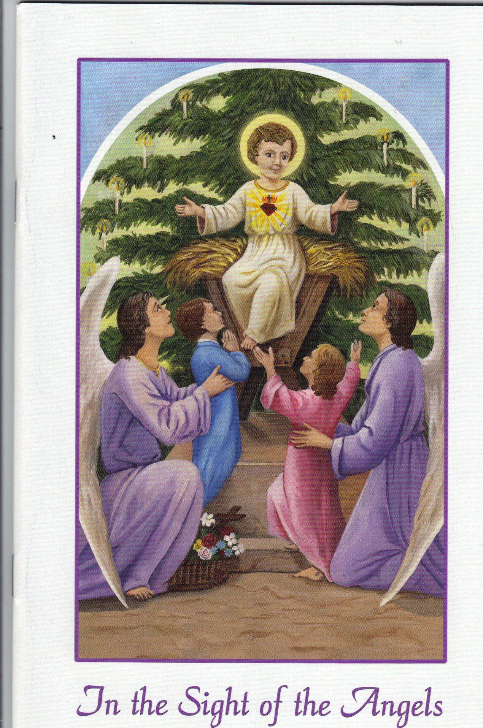 Image for In the sight of the Angels